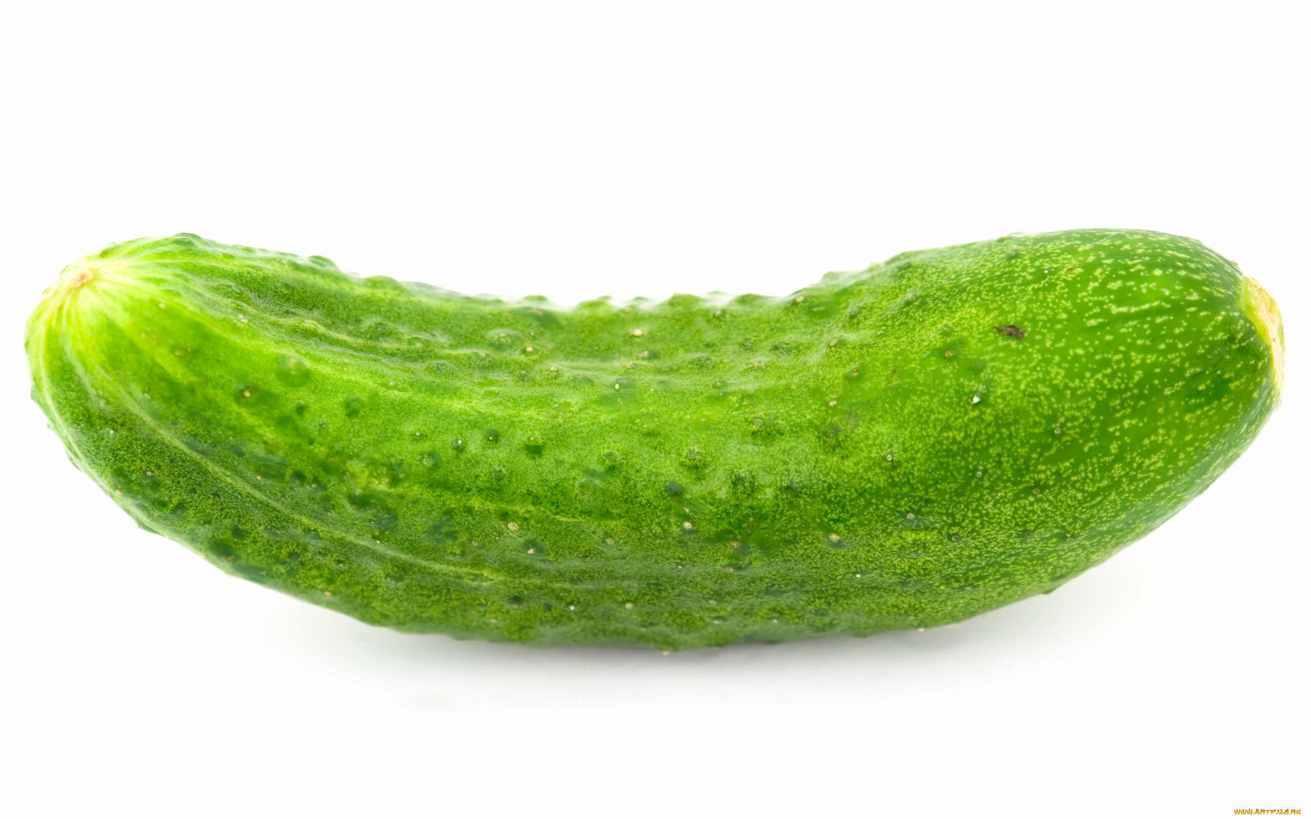 , , 